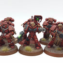 Warhammer 40k: Space Marines Blood Angels Tactical Squad - Painted (AF097)