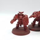 Warhammer 40k: Space Marines Blood Angels Terminator Squad - Part Painted (AH210)