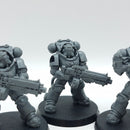 Warhammer 40k: Space Marines Heavy Intercessors (BJ177)