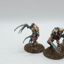 Warhammer 40k: Necrons Metal Flayed Ones - Painted (BJ033)