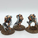 Warhammer 40k: Necrons Metal Flayed Ones - Painted (BJ033)