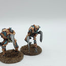 Warhammer 40k: Necrons Metal Flayed Ones - Painted (BJ033)
