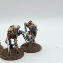 Warhammer 40k: Necrons Metal Flayed Ones - Painted (AQ074)