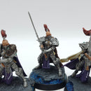 Warhammer 40k: Adeptus Custodes Sisters of Silence Vigilator Squad - Painted (BJ201)