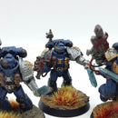 Warhammer 40k: Space Marines Deathwatch Veterans - Painted (AD018)