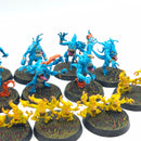 Warhammer Age of Sigmar: Disciples of Tzeentch Blue Horrors - Painted (AQ046)