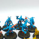 Warhammer Age of Sigmar: Disciples of Tzeentch Blue Horrors - Painted (AQ046)