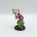 Warhammer Age of Sigmar: Disciples of Tzeentch Exalted Flamer and Herald - Painted (BA042)