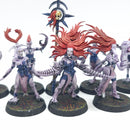 Warhammer Age of Sigmar: Hedonites of Slaanesh Daemonettes - Painted (AT005)