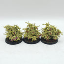 Warhammer Age of Sigmar: Maggoktkin of Nurgle Nurglings - Painted (BH127)