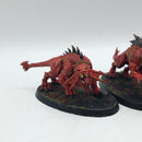 Warhammer Age of Sigmar: Blades of Khorne Flesh Hounds - Painted (AA188)