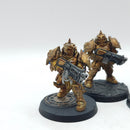 Warhammer 40k: Adeptus Custodes Forge World Sagittarum Guard - Painted (AW043)