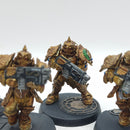 Warhammer 40k: Adeptus Custodes Forge World Sagittarum Guard - Painted (AW043)