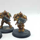 Warhammer 40k: Adeptus Custodes Forge World Sagittarum Guard - Painted (AW043)