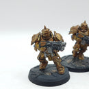 Warhammer 40k: Adeptus Custodes Forge World Sagittarum Guard - Painted (AZ183)