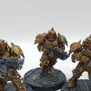 Warhammer 40k: Adeptus Custodes Forge World Sagittarum Guard - Painted (AZ183)
