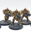 Warhammer 40k: Adeptus Custodes Forge World Sagittarum Guard - Painted (AZ183)