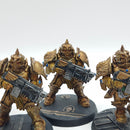 Warhammer 40k: Adeptus Custodes Forge World Sagittarum Guard - Painted (AZ183)