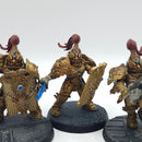 Warhammer 40k: Adeptus Custodes Custodian Guard - Painted (AC089)