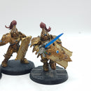Warhammer 40k: Adeptus Custodes Custodian Guard - Painted (AC089)