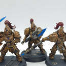 Warhammer 40k: Adeptus Custodes Custodian Guard - Painted (BI044)
