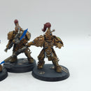 Warhammer 40k: Adeptus Custodes Custodian Guard - Painted (BI044)