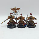 Warhammer 40k: Adeptus Custodes Allarus Custodians - Painted (BH047)