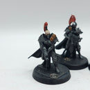 Warhammer 40k: Adeptus Custodes Sisters of Silence Witchseekers - Painted (AQ050)