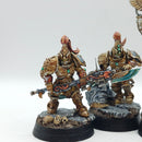 Warhammer 40k: Adeptus Custodes Custodian Guard - Well Painted (AI175)