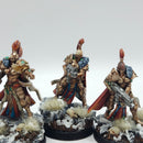 Warhammer 40k: Adeptus Custodes Sisters of Silence Prosecutor Squad - Painted (AD047)