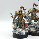Warhammer 40k: Adeptus Custodes Allarus Custodians Terminators - Well Painted (BJ222)