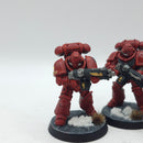 Warhammer 40k: Space Marines Blood Angels Intercessors - Painted (AD228)