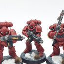 Warhammer 40k: Space Marines Blood Angels Intercessors - Painted (AD228)