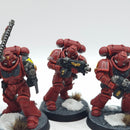 Warhammer 40k: Space Marines Blood Angels Intercessors - Painted (AD228)