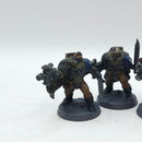 Warhammer 40k: Space Marines Ultramarines Scouts - Painted (BH005)