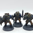 Warhammer 40k: Space Marines Ultramarines Scouts - Painted (BH005)