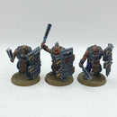 Warhammer 40k: Astra Militarum Bullgryns - Painted (AC154)