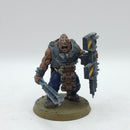 Warhammer 40k: Astra Militarum Bullgryns - Painted (AC154)
