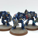Warhammer 40k: Space Marine Crimson Fists Assault Terminators - Well Painted (BH190)