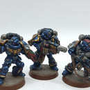 Warhammer 40k: Space Marine Crimson Fists Metal Sternguard Veterans - Well Painted (AP018)