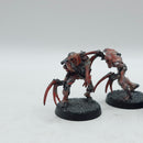Warhammer 40k: Necrons Metal Flayed Ones - Painted (BH195)