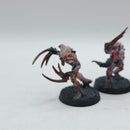 Warhammer 40k: Necrons Metal Flayed Ones - Painted (AQ116)
