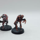 Warhammer 40k: Necrons Metal Flayed Ones - Painted (AQ116)