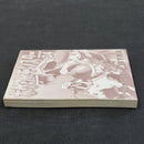 Pokemon Pocket Monsters Special Vol.34 Japanese Manga First Printing 2010 JP1M-PMS34