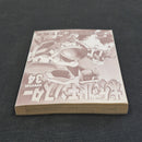 Pokemon Pocket Monsters Special Vol.34 Japanese Manga First Printing 2010 JP1M-PMS34