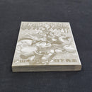 Pokemon Pocket Monsters Special Vol.41 Japanese Manga First Printing 2011 - Arceus First Volume Appearance JP1M-PMS41