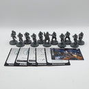 Star Wars Legion: Empire Snowtroopers (BI219)