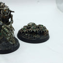 Warhammer 40k: Necron Warriors - Painted (BH172)