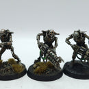 Warhammer 40k: Necron Warriors - Painted (BH172)