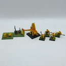 Warhammer The Old World/Fantasy: Lizardmen Salamander Hunting Pack and Jungle Swarms (BA135)